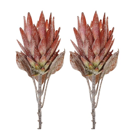 29.25" Red Protea Flower Stems, 2ct.